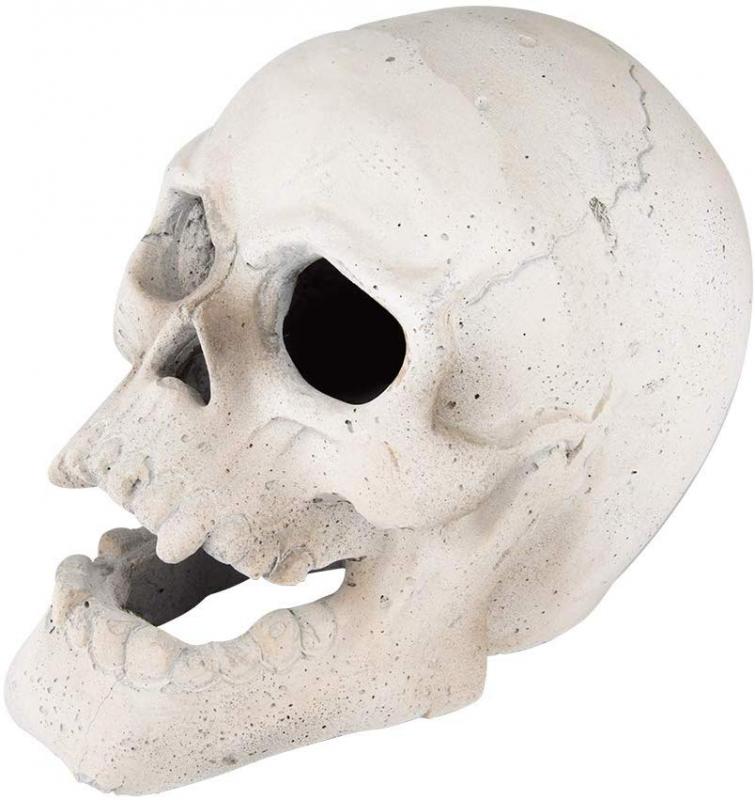 Stanbroil Fire Pits 9 Imitated Human, How To Make Concrete Skulls For Fire Pit